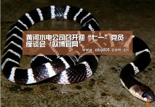 黄河水电公司召开迎“七一”党员座谈会‘欧博官网’(图1) 欧博官网