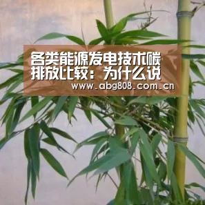 各类能源发电技术碳排放比较:为什么说核电比风电高出37倍?_欧博游戏(图4) 欧博