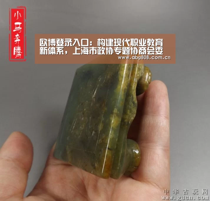 欧博登录入口:构建现代职业教育新体系,上海市政协专题协商会委员建言选萃(图4) 欧博登录入口